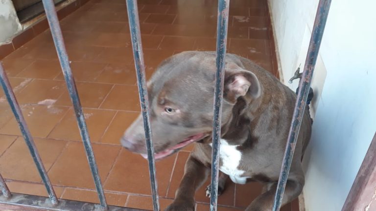 Polícia prende homem suspeito de estuprar própria filha