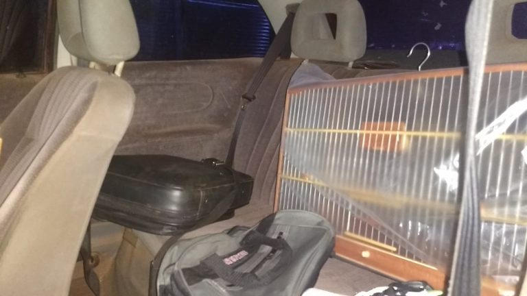 Estrada da Santa Cruz em São Francisco Xavier será interditada