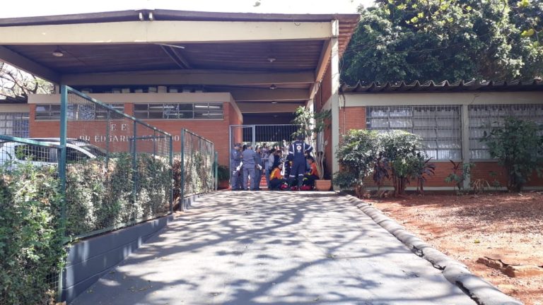 Abelhas atacam alunos de escola estadual na zona norte de Ribeirão