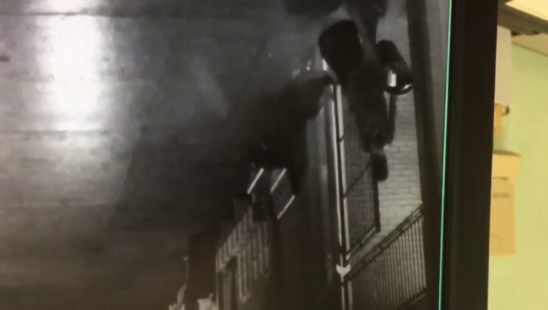 Anvisa aprova nova vacina contra a dengue