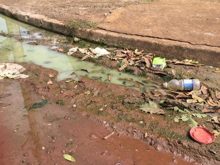 Sevna apresenta sete empresas ao mercado