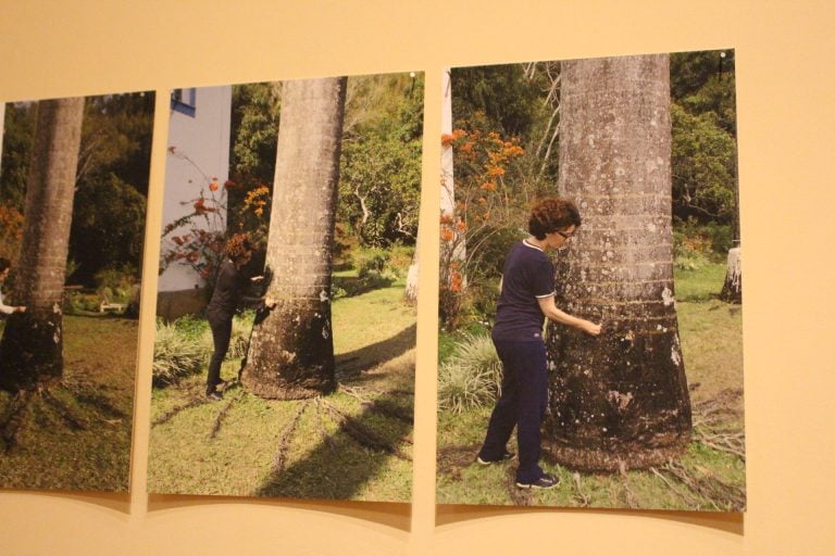 Agência bancária é alvo de assaltantes na Vila Virgínia