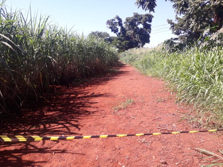 Corpo é encontrado na estrada velha de Jardinópolis