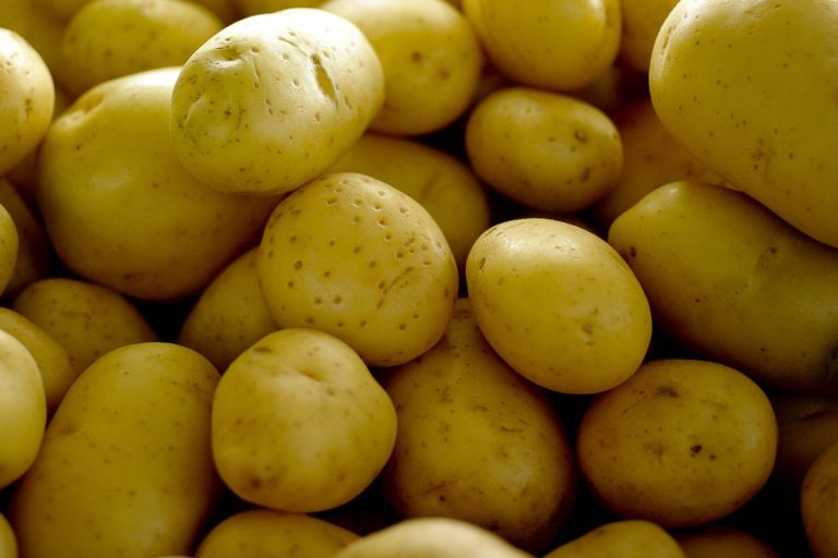 Alta nos preços da batata e cebola pode deixar a ceia de Natal mais cara