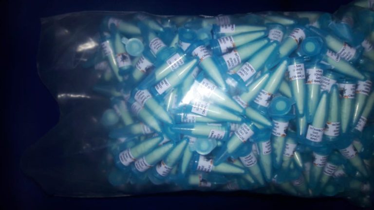 Embalagem de cocaína dentro de lanche