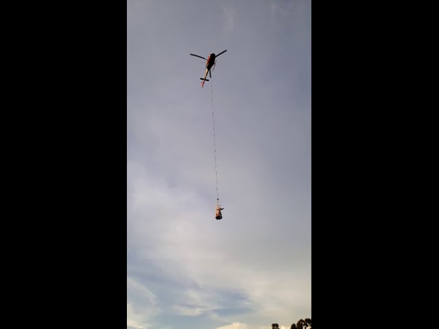 Corpo de Bombeiros regasta vítimas de ataque de vespas