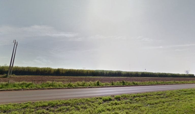 Corpo é encontrado em canavial da rodovia Abrão Assed