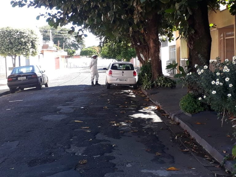 Homens ficam feridos após ataque de abelhas nos Campos Elíseos