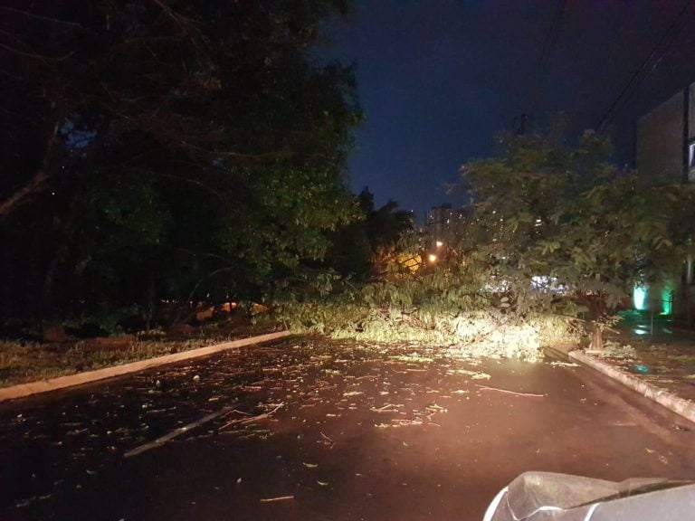 Novo alerta do Inmet prevê chuva intensa e ventos de até 60 km/h em Ribeirão Preto