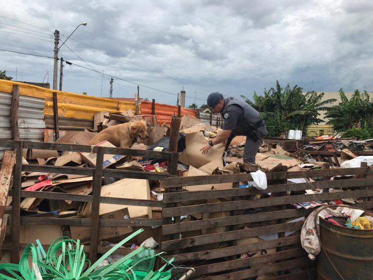 Prefeitura cria projeto para regularizar o funcionamento dos ferros-velhos da cidade