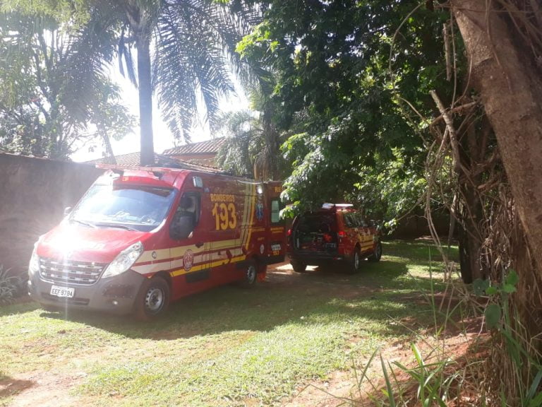 Cachorro ataca idosa de 98 anos no Ribeirão Verde