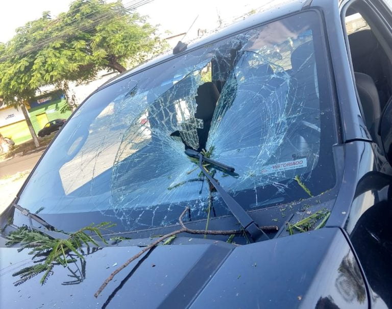 Galho de árvore cai sobre veículo em avenida de Ribeirão