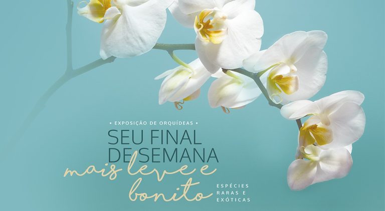 Shopping de Ribeirão recebe exposição de orquídeas