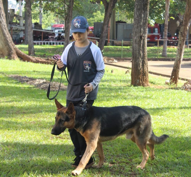 Alunos de escola pública fazem curso para se tornarem adestradores de cães mirins
