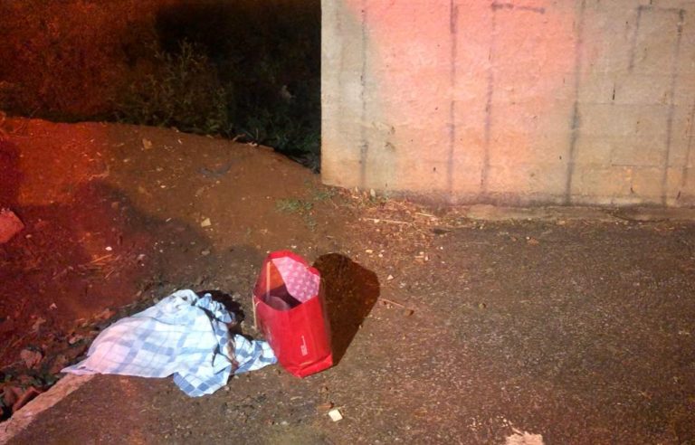 Corpo de recém-nascida é encontrado em avenida de Ribeirão Preto