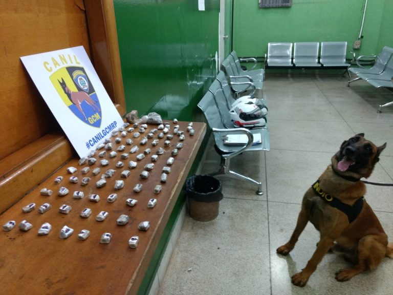 Cão Farejador Índio encontra droga em praça de Ribeirão Preto