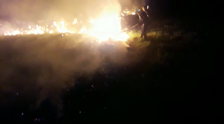 Incêndio atinge mata nas proximidades do Parque Curupira