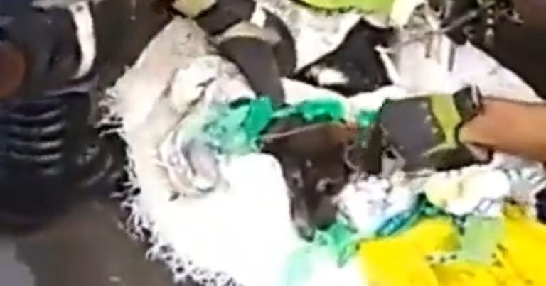 Vídeo impressionante | Bombeiros salvam cachorro amarrado em saco