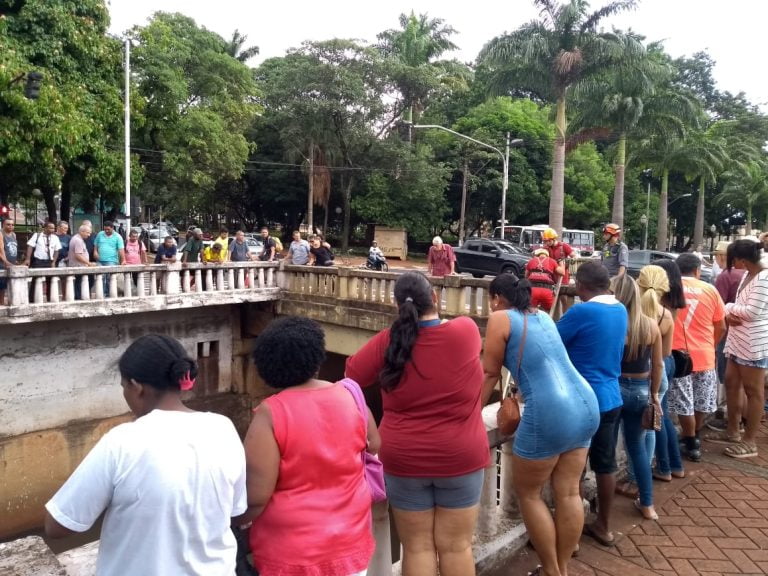 Mala roubada interdita avenida na região central da cidade