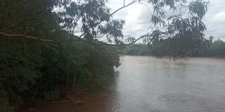 Cão farejador encontra corpo de mulher que viajou 1,5 mil km para encontrar ex em Pontal