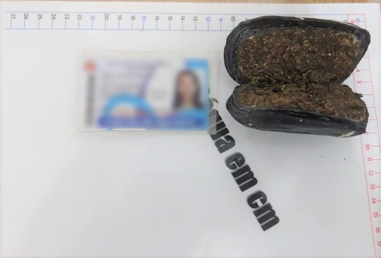 Presídios na região registram 212 apreensões de materiais ilícitos em 2019