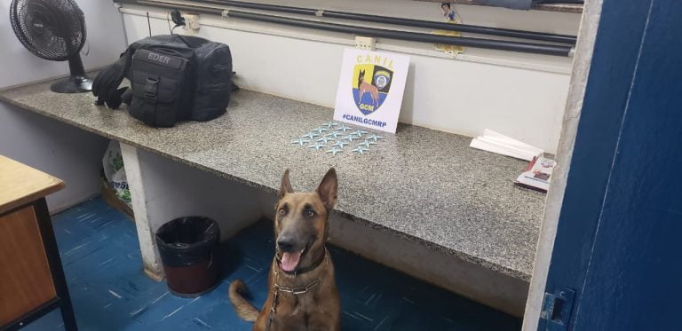 GCM apreende menor e cão farejador encontra cocaína em praça da zona Oeste