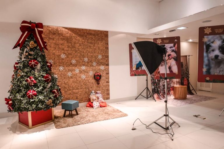Shopping oferece estúdio de fotografia exclusivo para animais de estimação neste fim de ano