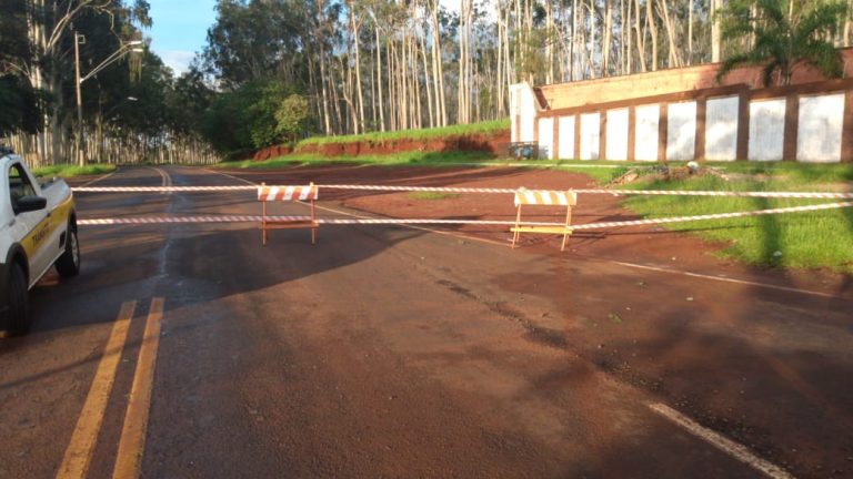 Queda de árvore interdita avenida Adelmo Perdiza