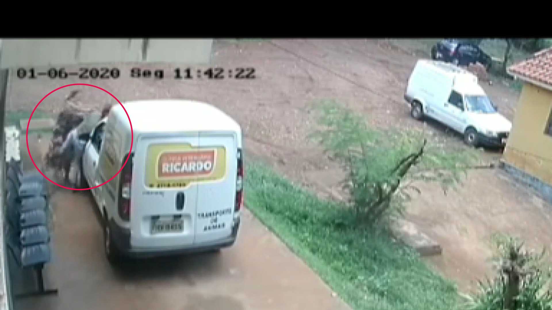 Agressão canil Sertãozinho