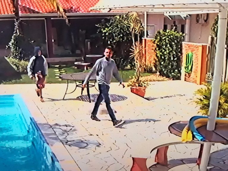 Ladrões invadem casa na zona Leste e levam até o cãozinho de estimação