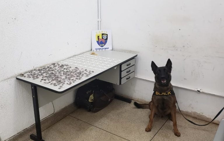 Cão da Guarda Civil ajuda na apreensão de drogas nos Campos Elíseos