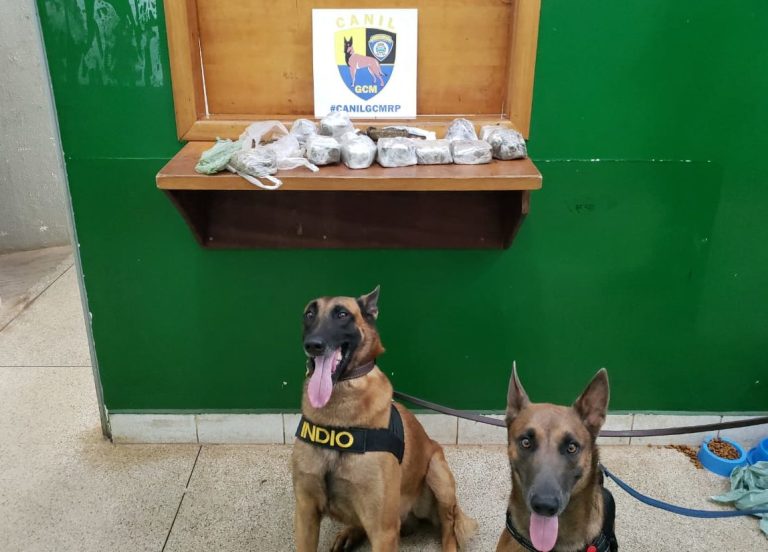 Cães da Guarda Civil encontram mais de 3 kg de drogas na zona Norte