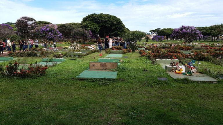 Denúncias de violência contra a mulher somam 105,6 mil em 2020