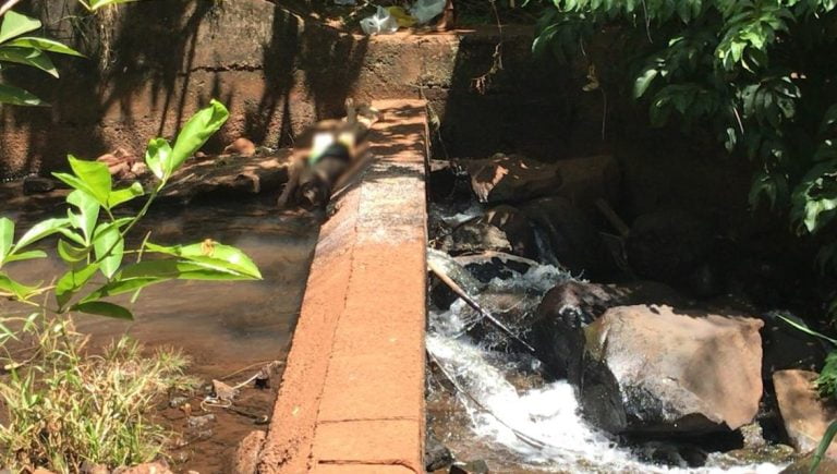 Homem é encontrado morto em zona Sul de Ribeirão Preto