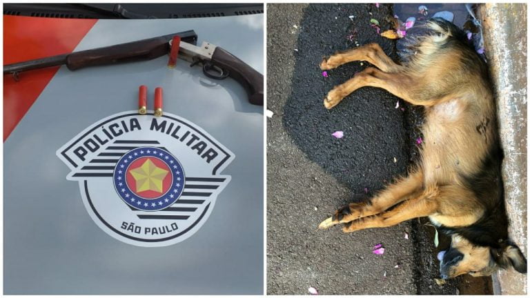 Homem mata cachorro em Dumont e é preso pela PM