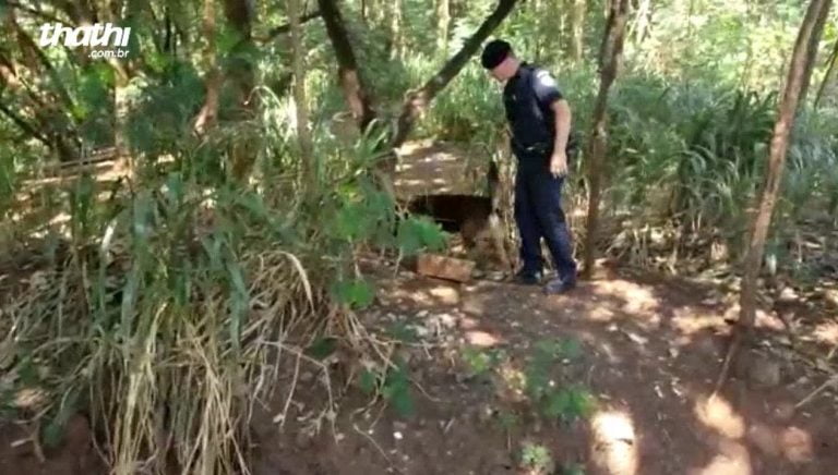 Cão da Guarda Civil localiza drogas próximo a comunidade do Brejo