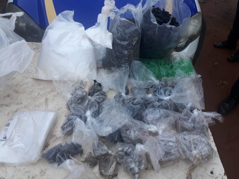 Cão Black ajuda na apreensão de drogas na Vila Mariana