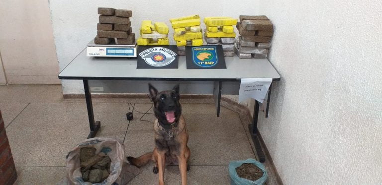 Canil do Baep encontra 56 tijolos de maconha em ferro-velho abandonado