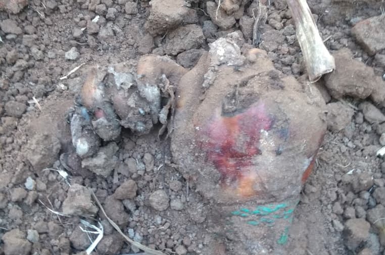 Corpo semienterrado é encontrado na zona rural de Jardinópolis