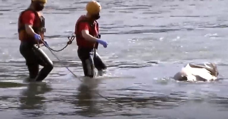 Vídeo | Corpo de homem em saco branco é retirado do rio Pardo, em Jardinópolis
