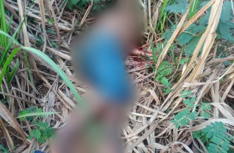 GCM de Sertãozinho localiza corpo de homem em matagal na área rural