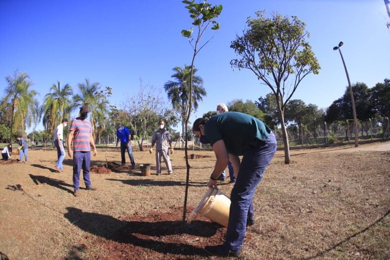 Parque Maurílio Biagi recebe compensação ambiental devido a construção de pista de skate