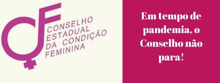 Conselho da Condição Feminina promove live sobre mulheres na política