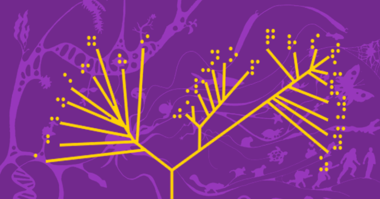 Seres vivos ganham nova classificação após 285 anos