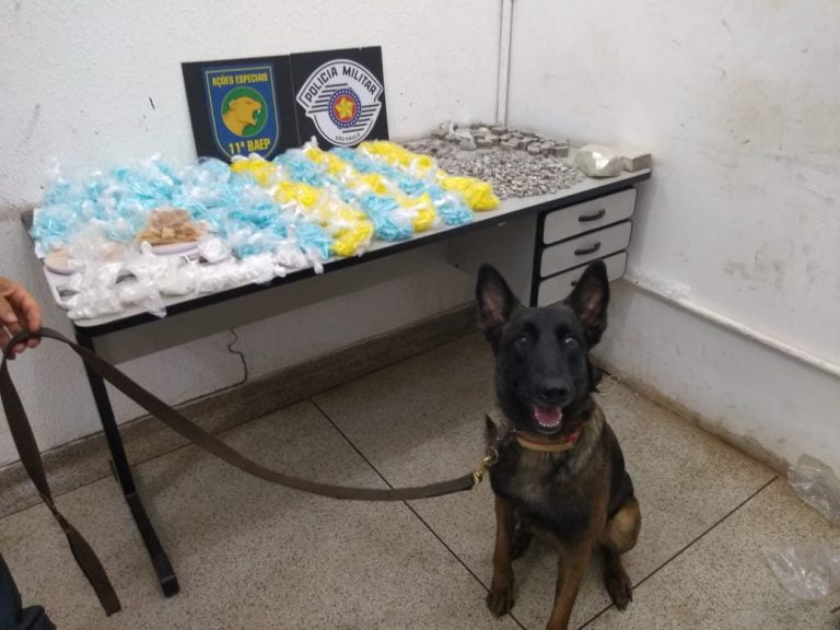 BAEP apreende grande quantidade de drogas na zona Norte de Ribeirão Preto