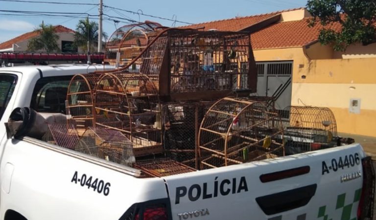 Polícia ambiental apreende 56 aves silvestres irregulares em residência de Araraquara