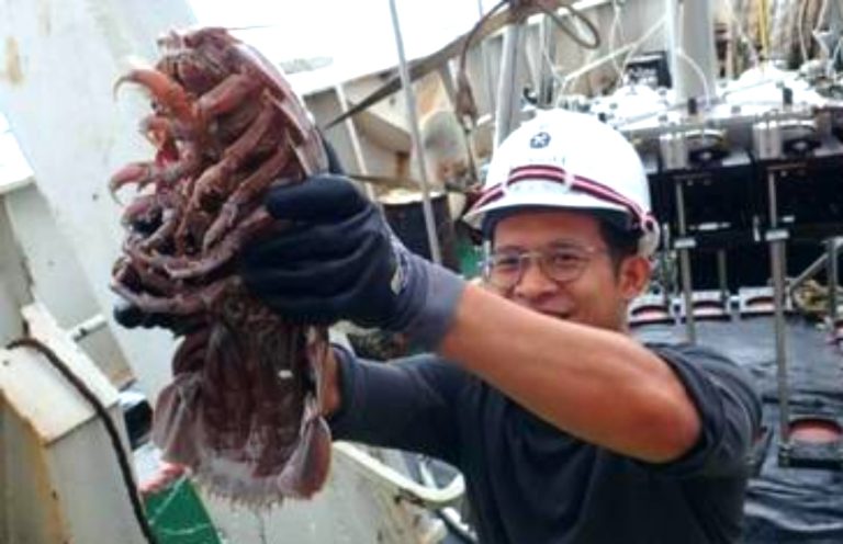 Cientistas encontram BARATA GIGANTE que vive no fundo do mar