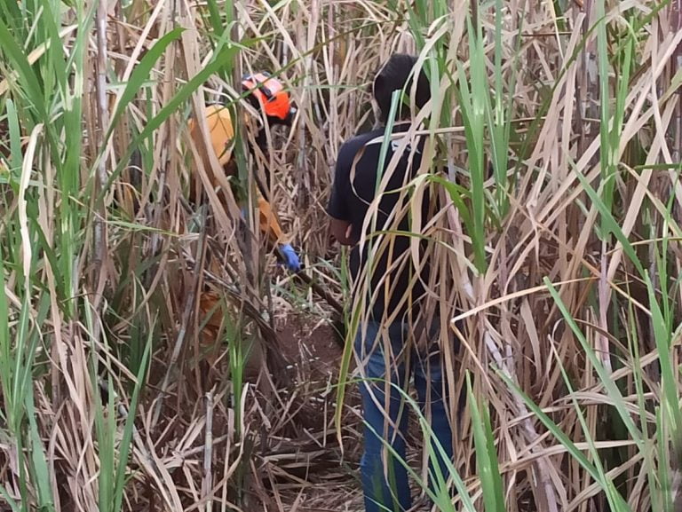 Outro corpo é encontrado na zona rural de Jardinópolis