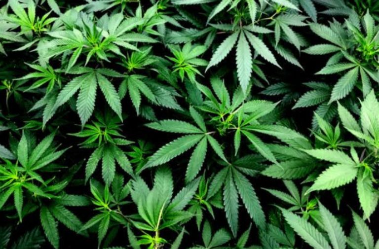 Bebê de 10 meses passa por lavagem no estômago após engolir cigarro de maconha