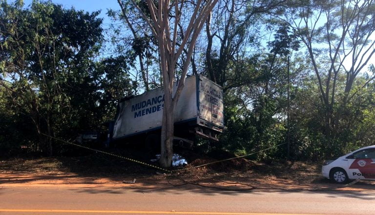 Caminhoneiro bate em árvore, tem a perna decepada e morre na hora em Jardinópolis